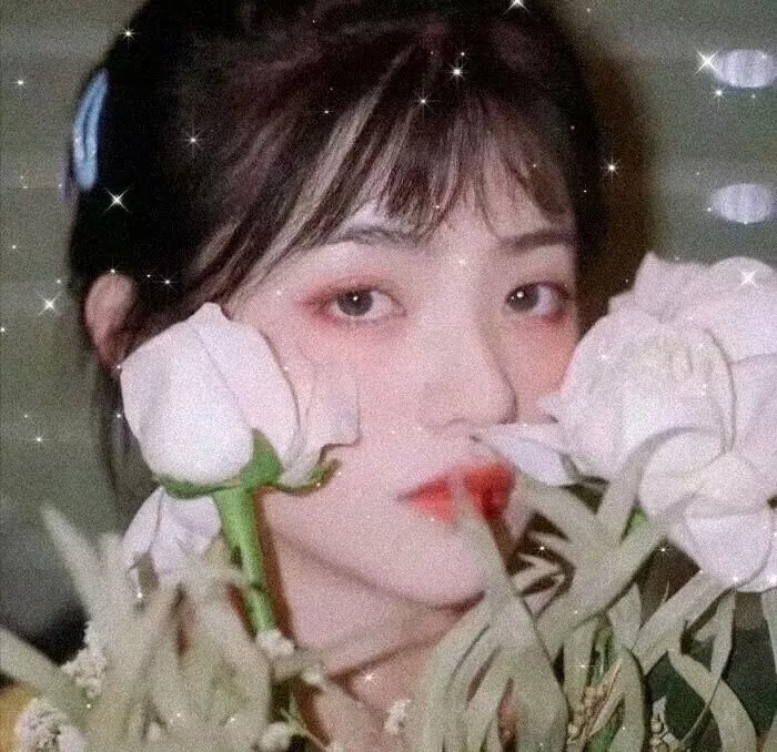 守护解放西第三季